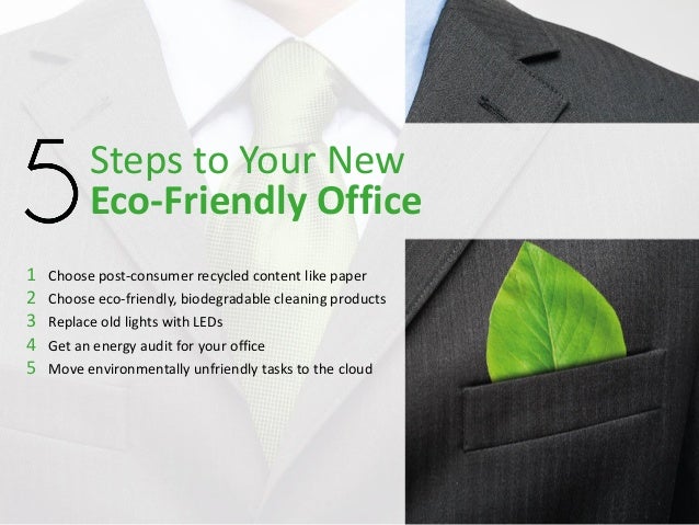 eco friendly office ovo 18 steps to your new ecofriendly office eco friendly office ovo 18 steps to your new ecofriendly office