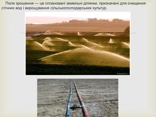 
Поля зрошення — це сплановані земельні ділянки, призначені для очищення
стічних вод і вирощування сільськогосподарських культур.
 
