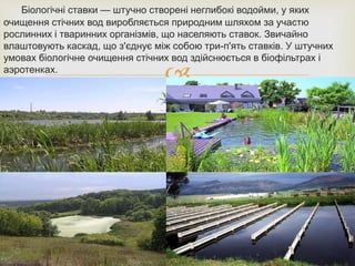 
Біологічні ставки — штучно створені неглибокі водойми, у яких
очищення стічних вод виробляється природним шляхом за участю
рослинних і тваринних організмів, що населяють ставок. Звичайно
влаштовують каскад, що з'єднує між собою три-п'ять ставків. У штучних
умовах біологічне очищення стічних вод здійснюється в біофільтрах і
аэротенках.
 