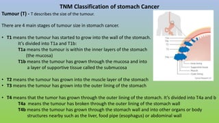 TNM Classification of stomach Cancer
Tumour (T) - T describes the size of the tumour.
There are 4 main stages of tumour size in stomach cancer.
• T1 means the tumour has started to grow into the wall of the stomach.
It’s divided into T1a and T1b:
T1a means the tumour is within the inner layers of the stomach
(the mucosa)
T1b means the tumour has grown through the mucosa and into
a layer of supportive tissue called the submucosa
• T2 means the tumour has grown into the muscle layer of the stomach
• T3 means the tumour has grown into the outer lining of the stomach
• T4 means that the tumor has grown through the outer lining of the stomach. It’s divided into T4a and b
T4a means the tumour has broken through the outer lining of the stomach wall
T4b means the tumour has grown through the stomach wall and into other organs or body
structures nearby such as the liver, food pipe (esophagus) or abdominal wall
 
