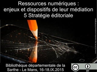 Ressources numériques :
enjeux et dispositifs de leur médiation
5 Stratégie éditoriale
Bibliothèque départementale de la
Sarthe - Le Mans, 16-18.IX.2015
LicenceCCBY-NChttps://www.flickr.com/photos/37873897@N06/
 