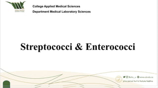 Streptococci & Enterococci
College Applied Medical Sciences
Department Medical Laboratory Sciences
 