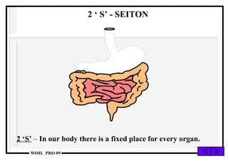 2 ‘S’  –  In our body there is a fixed place for every organ. 2 ‘ S’ - SEITON 