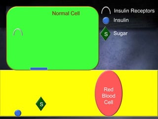 Red
Blood
CellS
Insulin Receptors
Insulin
S Sugar
 