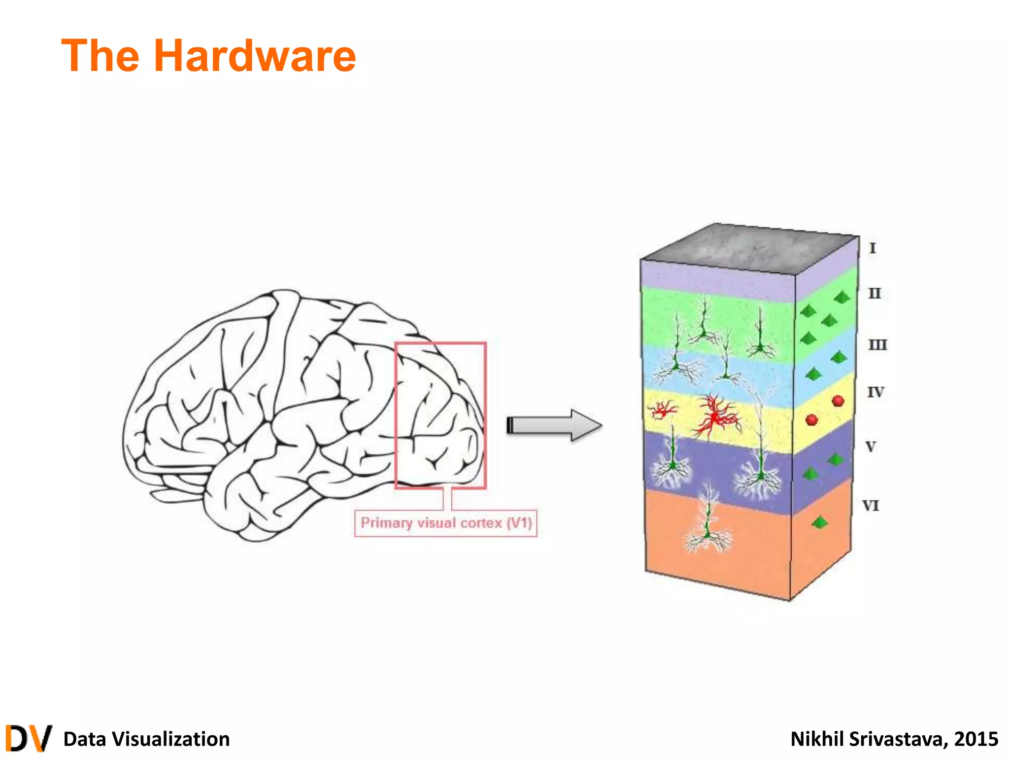 Data Visualization Nikhil Srivastava, 2015
The Hardware
 