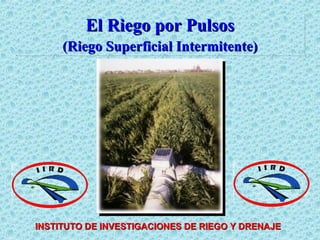 El Riego por Pulsos (Riego Superficial Intermitente) INSTITUTO DE INVESTIGACIONES DE RIEGO Y DRENAJE 
