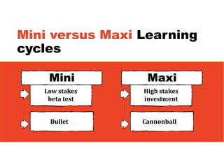 Mini versus Maxi Learning
cycles
Mini
Low	stakes	
beta	test
Bullet
Maxi
High	stakes	
investment
Cannonball
 