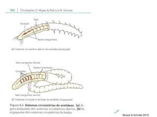 Moyes & Schulte 2010
 