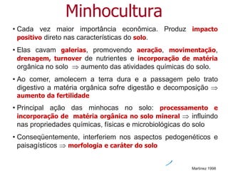Minhocultura
• Cada vez maior importância econômica. Produz impacto
positivo direto nas características do solo.
• Elas cavam galerias, promovendo aeração, movimentação,
drenagem, turnover de nutrientes e incorporação de matéria
orgânica no solo  aumento das atividades químicas do solo.
• Ao comer, amolecem a terra dura e a passagem pelo trato
digestivo a matéria orgânica sofre digestão e decomposição 
aumento da fertilidade
• Principal ação das minhocas no solo: processamento e
incorporação de matéria orgânica no solo mineral  influindo
nas propriedades químicas, físicas e microbiológicas do solo
• Conseqüentemente, interferiem nos aspectos pedogenéticos e
paisagísticos  morfologia e caráter do solo
Martinez 1998
 
