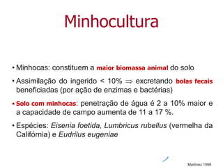 Minhocultura
• Minhocas: constituem a maior biomassa animal do solo
• Assimilação do ingerido < 10%  excretando bolas fecais
beneficiadas (por ação de enzimas e bactérias)
• Solo com minhocas: penetração de água é 2 a 10% maior e
a capacidade de campo aumenta de 11 a 17 %.
• Espécies: Eisenia foetida, Lumbricus rubellus (vermelha da
Califórnia) e Eudrilus eugeniae
Martinez 1998
 