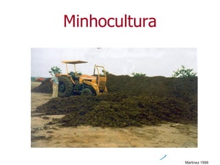 Minhocultura
Martinez 1998
 