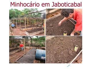 Minhocário em Jaboticabal
 
