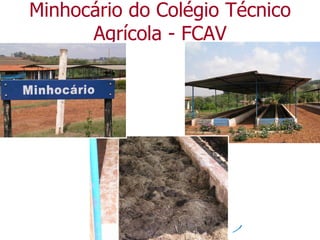 Minhocário do Colégio Técnico
Agrícola - FCAV
 