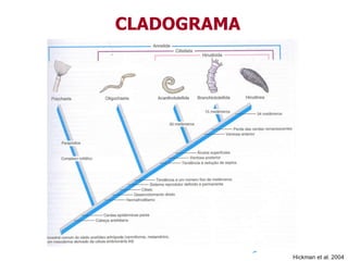 CLADOGRAMA
Hickman et al. 2004
 
