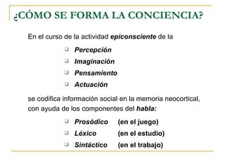 ¿CÓMO SE FORMA LA CONCIENCIA? En el curso de la actividad   epiconsciente   de la   Percepción Imaginación Pensamiento Actuación se codifica información social en la memoria neocortical, con ayuda de los componentes del   habla: Prosódico   (en el juego) Léxico   (en el estudio) Sintáctico   (en el trabajo) 