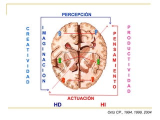 HD HI I M A G I N A C I Ó N PERCEPCIÓN P E N S A M I E N T O ACTUACIÓN Ortiz CP., 1994, 1999, 2004 C P A E C V C R EA T I V I D A D P R O D U C T I V I DAD 