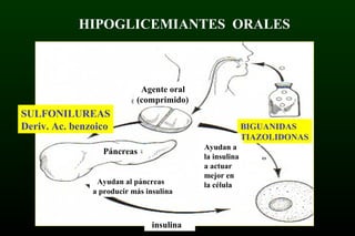 HIPOGLICEMIANTES ORALES
SULFONILUREAS
Deriv. Ac. benzoico BIGUANIDAS
TIAZOLIDONAS
Páncreas
Agente oral
(comprimido)
Ayudan al páncreas
a producir más insulina
insulina
Vvvvv
bbbbbbbbb
Vvvvv
bbbbbbbbb
Vvvvv
bbbbbbbbb
Ayudan a
la insulina
a actuar
mejor en
la célula
 