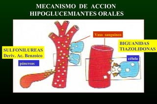 páncreas
Vaso sanguineo
célula
SULFONILUREAS
Deriv. Ac. Benzoico
BIGUANIDAS
TIAZOLIDONAS
MECANISMO DE ACCION
HIPOGLUCEMIANTES ORALES
 