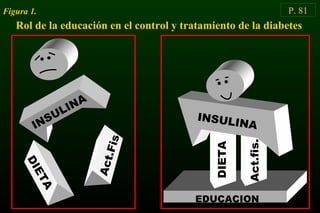 INSULINA
DIETA
Act.Fis. INSULINA
Act.fis.
DIETA
EDUCACION
Rol de la educación en el control y tratamiento de la diabetes
P. 81Figura 1.
 