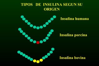 Insulina humana
Insulina porcina
Insulina bovina
TIPOS DE INSULINA SEGUN SU
ORIGEN
 