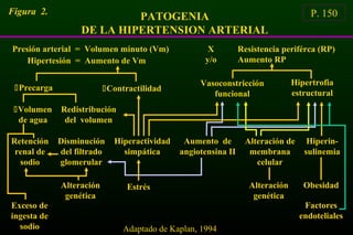 PATOGENIA
DE LA HIPERTENSION ARTERIAL
Figura 2. P. 150
Resistencia periférca (RP)
Aumento RP
Adaptado de Kaplan, 1994
Presión arterial = Volumen minuto (Vm)
Hipertesión = Aumento de Vm
X
y/o
Vasoconstricción
funcional
Hipertrofia
estructural
ContractilidadPrecarga
Volumen
de agua
Redistribución
del volumen
Retención
renal de
sodio
Disminución
del filtrado
glomerular
Hiperactividad
simpática
Aumento de
angiotensina II
Alteración de
membrana
celular
Hiperin-
sulinemia
Alteración
genética
Factores
endoteliales
Exceso de
ingesta de
sodio
Alteración
genética
ObesidadEstrés
 