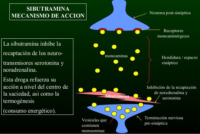 5ta. clase conferencia tratamiento 5ta. clase conferencia tratamiento