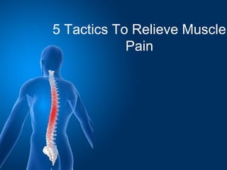 5 Tactics To Relieve Muscle
Pain
 