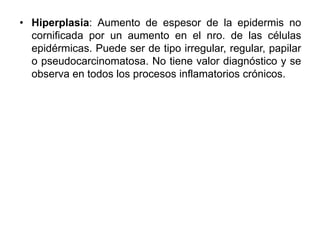 • Hiperplasia: Aumento de espesor de la epidermis no 
cornificada por un aumento en el nro. de las células 
epidérmicas. Puede ser de tipo irregular, regular, papilar 
o pseudocarcinomatosa. No tiene valor diagnóstico y se 
observa en todos los procesos inflamatorios crónicos. 
 