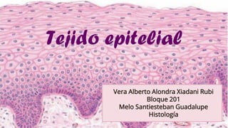 Tejido epitelial
Vera Alberto Alondra Xiadani Rubi
Bloque 201
Melo Santiesteban Guadalupe
Histología
 
