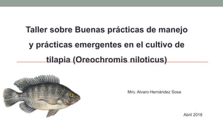 Mro. Alvaro Hernández Sosa
Taller sobre Buenas prácticas de manejo
y prácticas emergentes en el cultivo de
tilapia (Oreochromis niloticus)
Abril 2018
 
