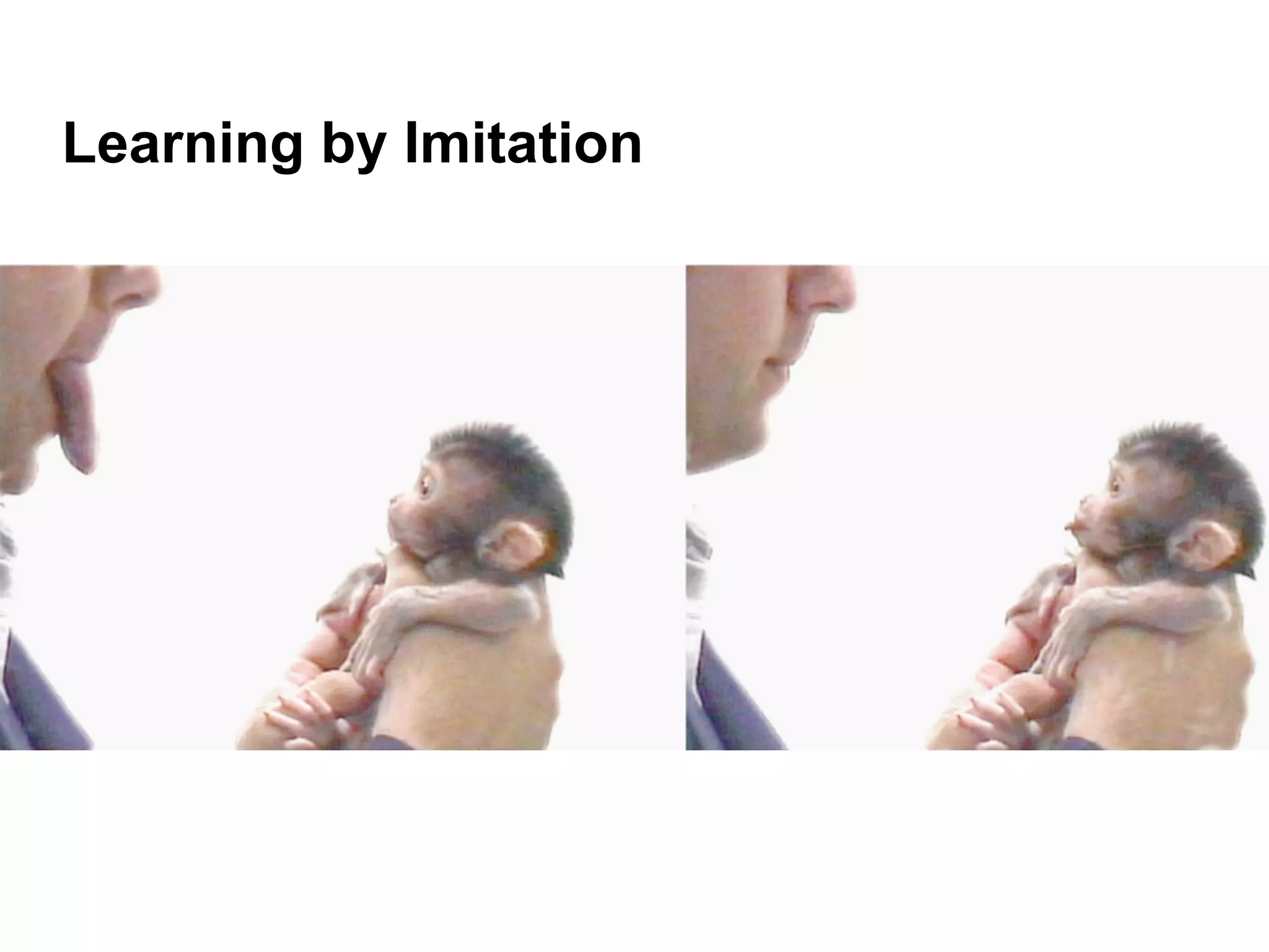 Learning by Imitation 