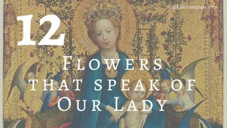 12Flowers
that speak of
Our Lady
CatholicCompany.com
 