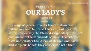 OUR LADY'S
Flowers
Presenting
In an age of greater love for the Christian faith,
nature was seen to praise the virtues of heaven's
saints - especially the Blessed Virgin Mary. Here are
just twelve of the thousands of plants the faithful
have named after the Queen of Heaven and Earth,
and the pious beliefs they associated with them.
CatholicCompany.com
 