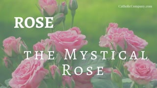 ROSE
th e M y s ti cal
R o s e
CatholicCompany.com
 