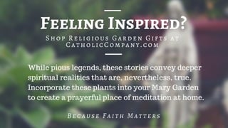 Feeling Inspired?
Because Faith Matters
Shop Religious Garden Gifts at
CatholicCompany.com
While pious legends, these stories convey deeper
spiritual realities that are, nevertheless, true.
Incorporate these plants into your Mary Garden
to create a prayerful place of meditation at home.
 