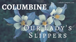 COLUMBINE
O u r L ady 's
S li p per s
CatholicCompany.com
 
