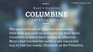 COLUMBINE
The Pious Legend
Mary's Slippers
The spurred flower of this plant resembles a
little dove and came to symbolize the Holy Spirit.
Columbine is said to have sprung up wherever
Mary’s foot touched the earth as she was on her
way to visit her cousin, Elizabeth, at the Visitation.
CatholicCompany.com
 