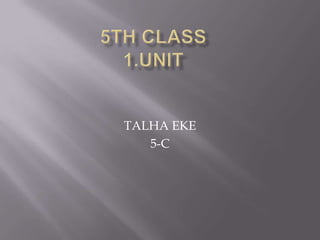 TALHA EKE
   5-C
 