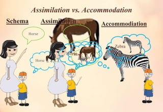 Assimilation vs accommodation-final | PPT