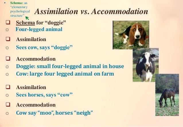 accommodation theory examples