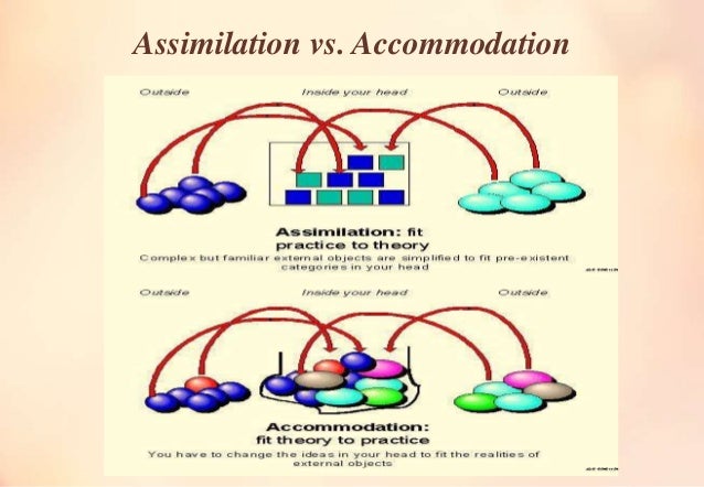the process of assimilation and accommodation both involve