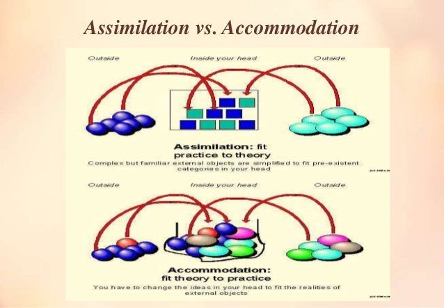 schema assimilation accommodation