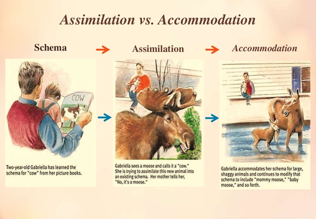 Assimilation vs