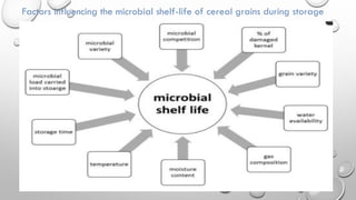 5th-PPT-of-Foods-and-Industrial-MicrobiologyCourse-No.-DTM-321.pdf