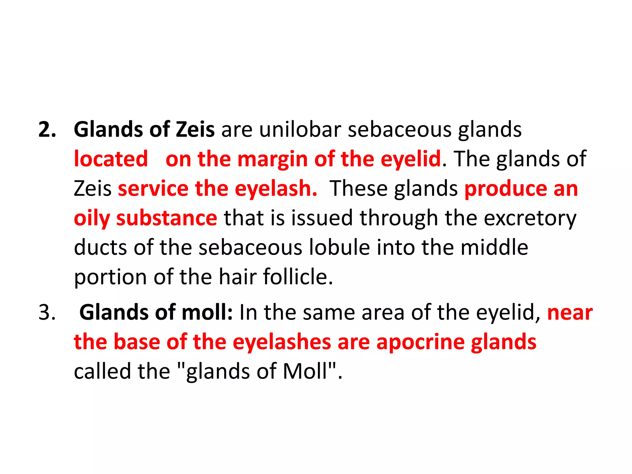2. Glands of Zeis are unilobar sebaceous glands
located on the margin of the eyelid. The glands of
Zeis service the eyelash. These glands produce an
oily substance that is issued through the excretory
ducts of the sebaceous lobule into the middle
portion of the hair follicle.
3. Glands of moll: In the same area of the eyelid, near
the base of the eyelashes are apocrine glands
called the "glands of Moll".
 