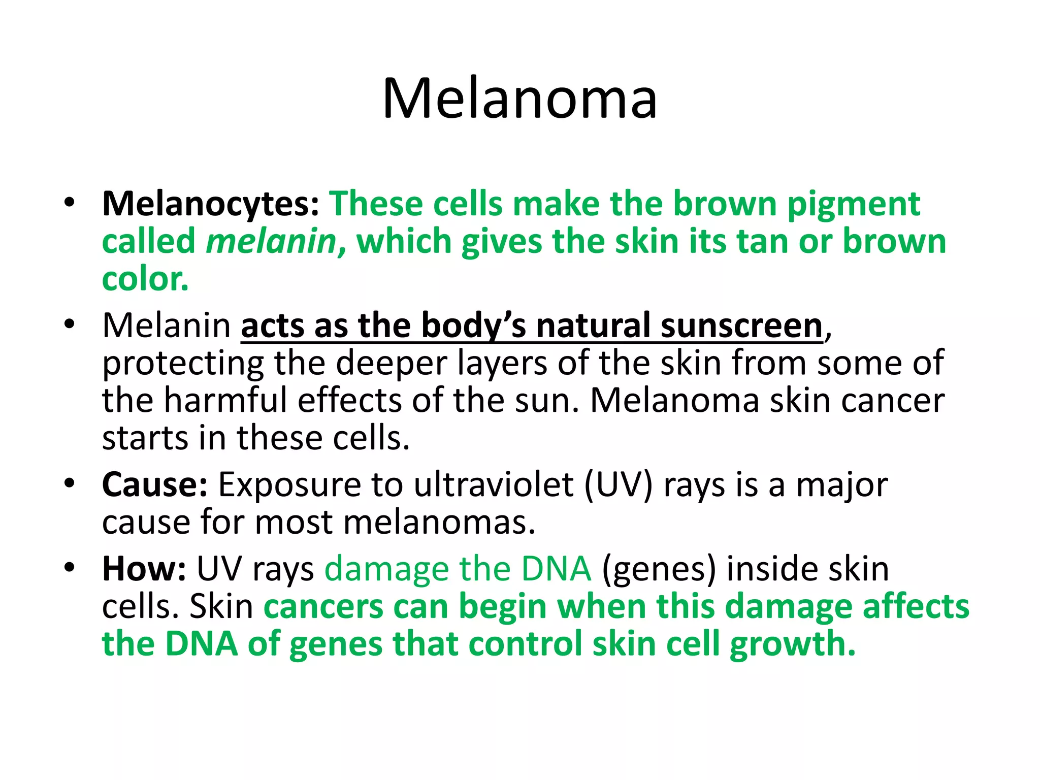 Melanoma
• Melanocytes: These cells make the brown pigment
called melanin, which gives the skin its tan or brown
color.
• Melanin acts as the body’s natural sunscreen,
protecting the deeper layers of the skin from some of
the harmful effects of the sun. Melanoma skin cancer
starts in these cells.
• Cause: Exposure to ultraviolet (UV) rays is a major
cause for most melanomas.
• How: UV rays damage the DNA (genes) inside skin
cells. Skin cancers can begin when this damage affects
the DNA of genes that control skin cell growth.
 