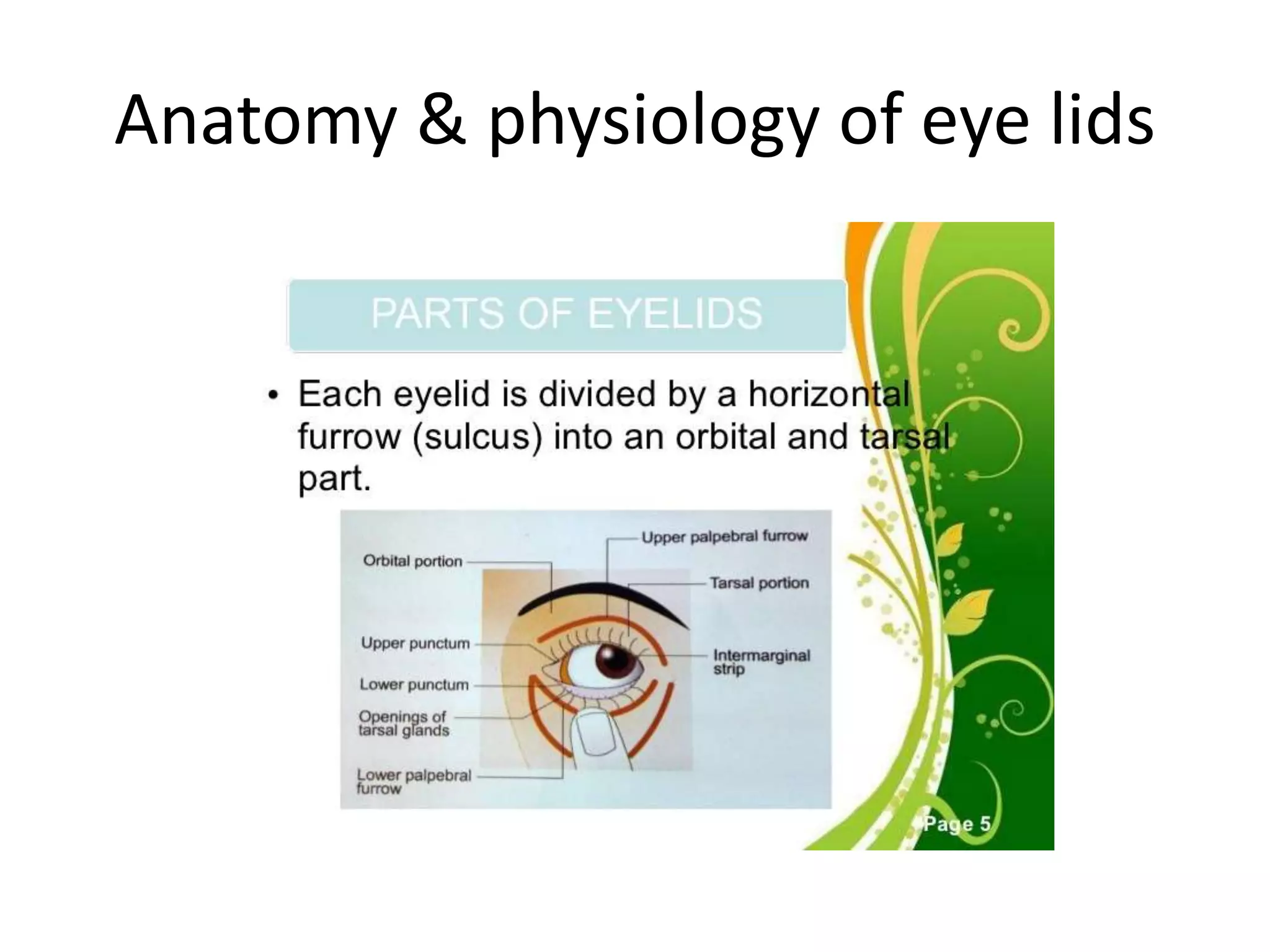 Anatomy & physiology of eye lids
 