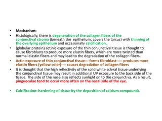 • Mechanism:
• Histologically, there is degeneration of the collagen fibers of the
conjunctival stroma (beneath the epithelium, covers the tarsus) with thinning of
the overlying epithelium and occasionally calcification.
• (globular protein) actinic exposure of the thin conjunctival tissue is thought to
cause fibroblasts to produce more elastin fibers, which are more twisted than
normal elastin fibers and may lead to the degradation of the collagen fibers.
• Actin exposure of thin conjunctival tissue--- forms fibroblast----- produces more
elastin fibers (yellow color)---- causes degradation of collagen fibers
• It is thought that the high reflectivity of the solid white scleral tissue underlying
the conjunctival tissue may result in additional UV exposure to the back side of the
tissue. The side of the nose also reflects sunlight on to the conjunctiva. As a result,
pingueculae tend to occur more often on the nasal side of the eye.
• Calcification: hardening of tissue by the deposition of calcium compounds.
 
