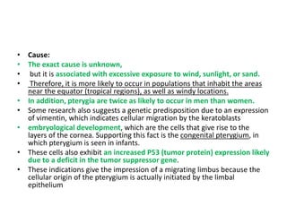 • Cause:
• The exact cause is unknown,
• but it is associated with excessive exposure to wind, sunlight, or sand.
• Therefore, it is more likely to occur in populations that inhabit the areas
near the equator (tropical regions), as well as windy locations.
• In addition, pterygia are twice as likely to occur in men than women.
• Some research also suggests a genetic predisposition due to an expression
of vimentin, which indicates cellular migration by the keratoblasts
• embryological development, which are the cells that give rise to the
layers of the cornea. Supporting this fact is the congenital pterygium, in
which pterygium is seen in infants.
• These cells also exhibit an increased P53 (tumor protein) expression likely
due to a deficit in the tumor suppressor gene.
• These indications give the impression of a migrating limbus because the
cellular origin of the pterygium is actually initiated by the limbal
epithelium
 