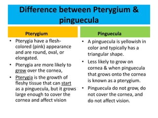 Difference between Pterygium &
pinguecula
Pterygium
• Pterygia have a flesh-
colored (pink) appearance
and are round, oval, or
elongated.
• Pterygia are more likely to
grow over the cornea,
• Pterygia is the growth of
fleshy tissue that can start
as a pinguecula, but it grows
large enough to cover the
cornea and affect vision
Pinguecula
• A pinguecula is yellowish in
color and typically has a
triangular shape.
• Less likely to grow on
cornea & when pinguecula
that grows onto the cornea
is known as a pterygium.
• Pinguecula do not grow, do
not cover the cornea, and
do not affect vision.
 